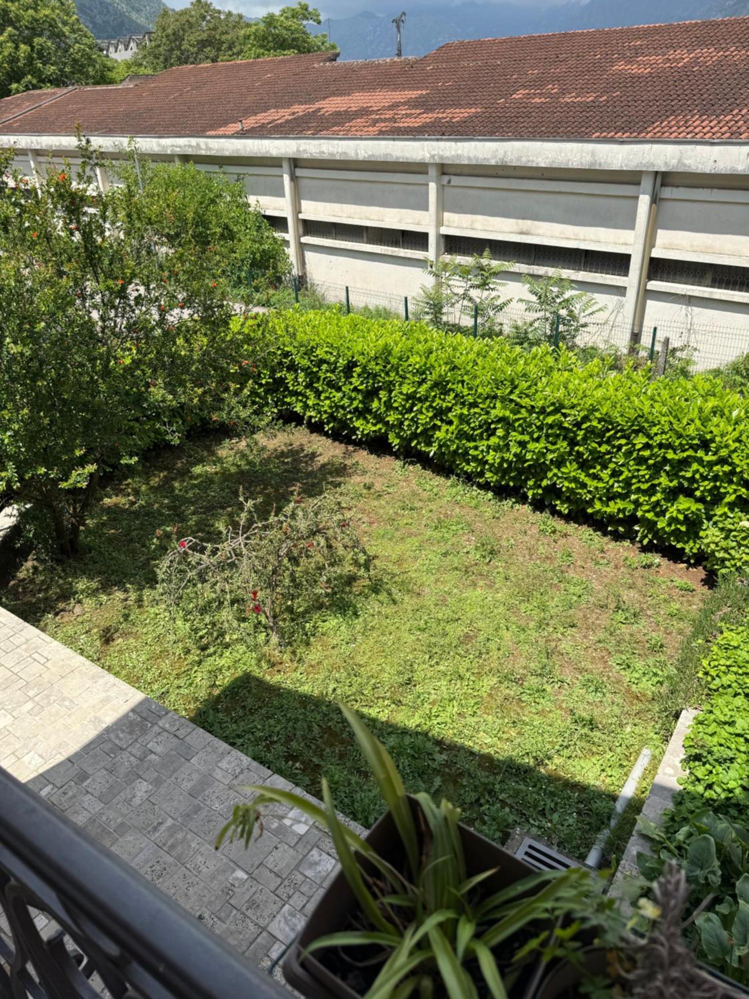 Damjan Apartman *